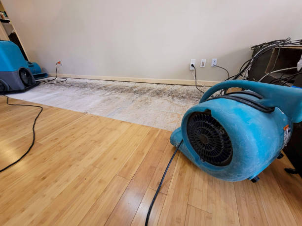 Professional Ceiling Water Damage Repair technician working in Orono, MN